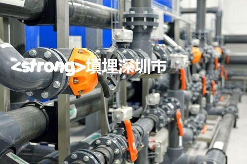 <strong>填埋深圳市危险废物处理站有限公司化工设施安全解体：如何高效处理复杂工业遗留问题？</strong>